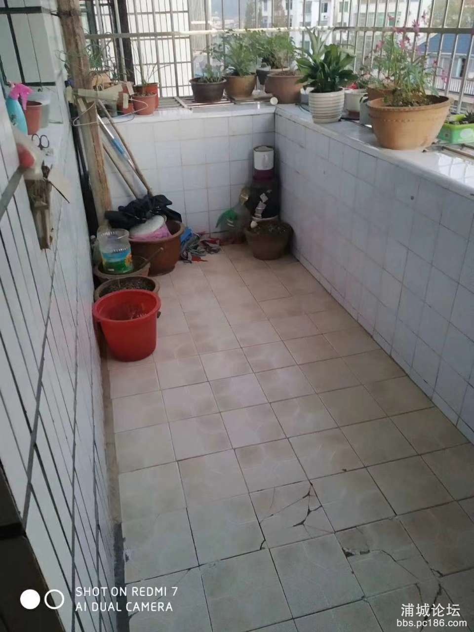 20191104_216773_1572833579654.jpg