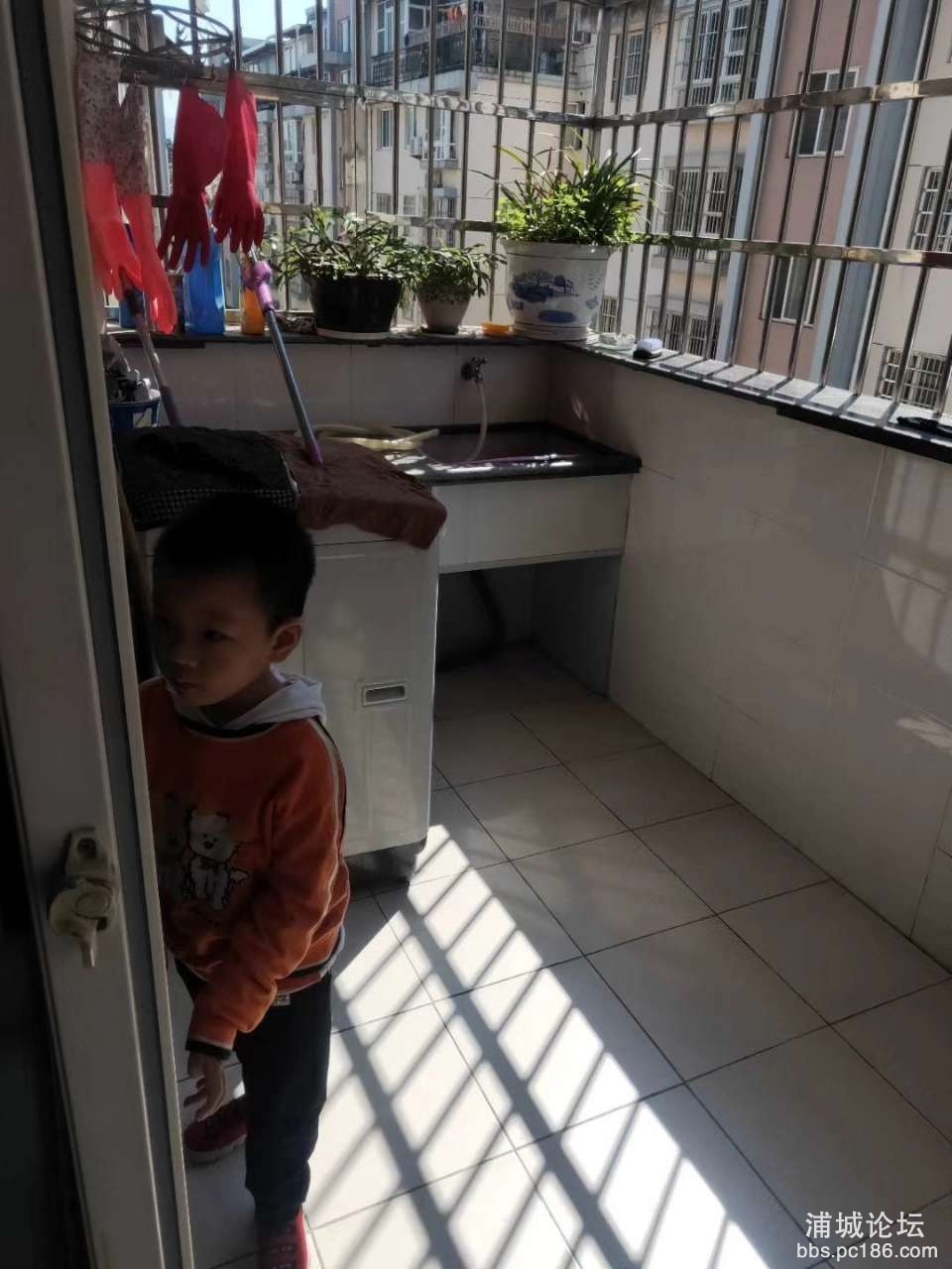 20191111_216773_1573442446047.jpg