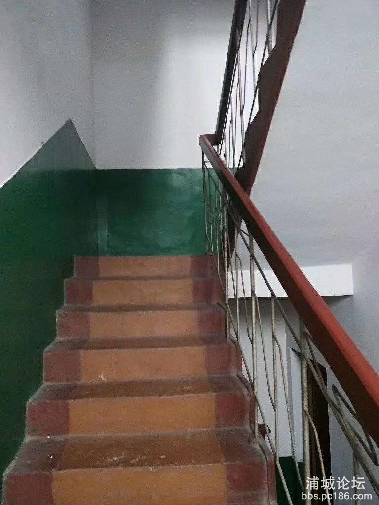 20191112_216773_1573529098667.jpg