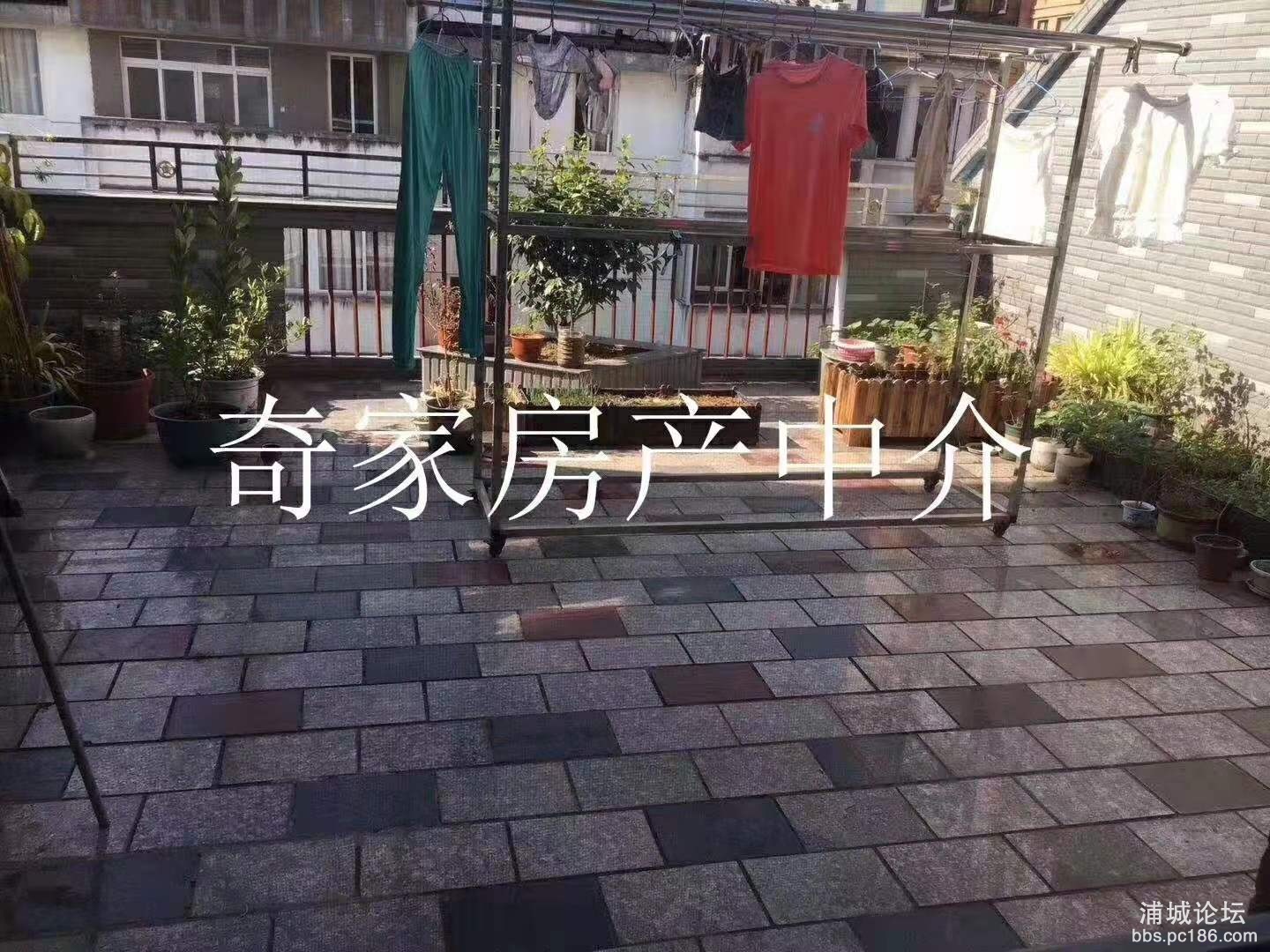 微信图片_201911131632536.jpg