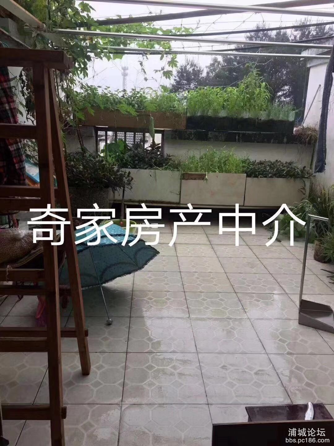 微信图片_201912231016056.jpg