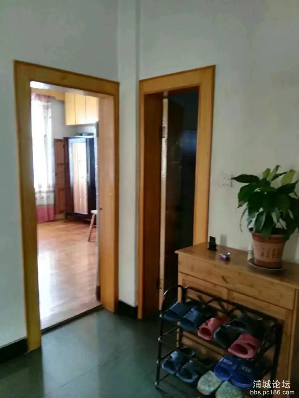 mmexport1577148029111.jpg