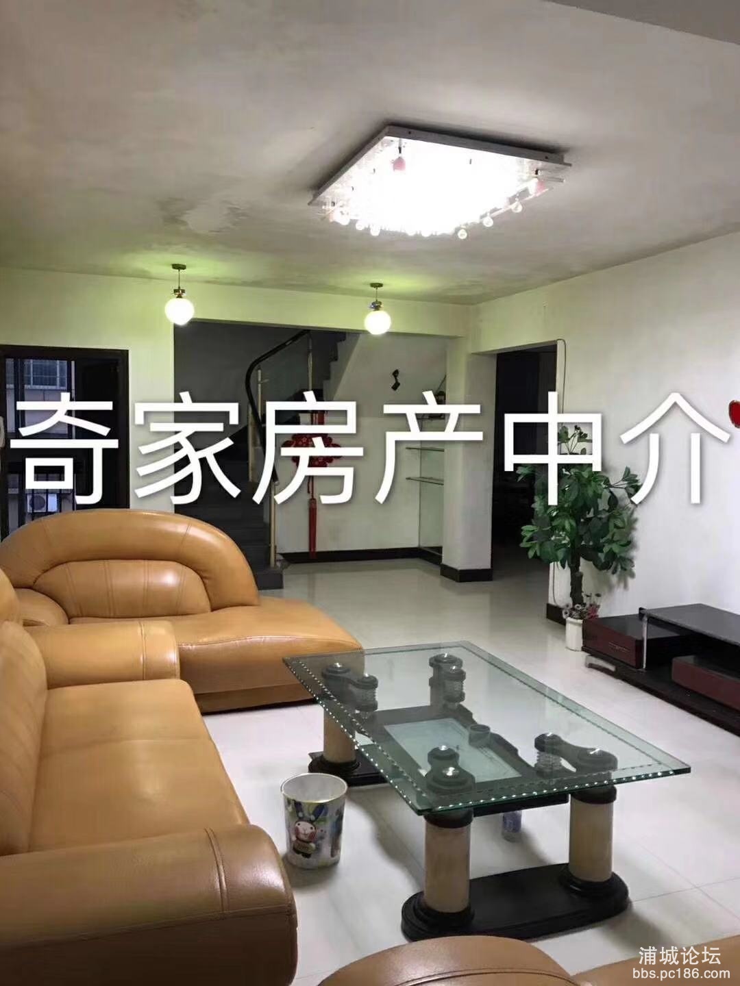 微信图片_201912272011457.jpg