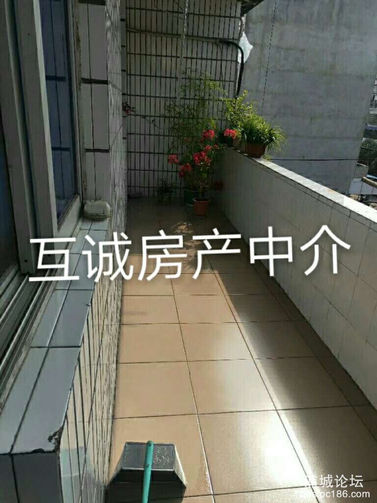 20200113_216773_1578903526313.jpg