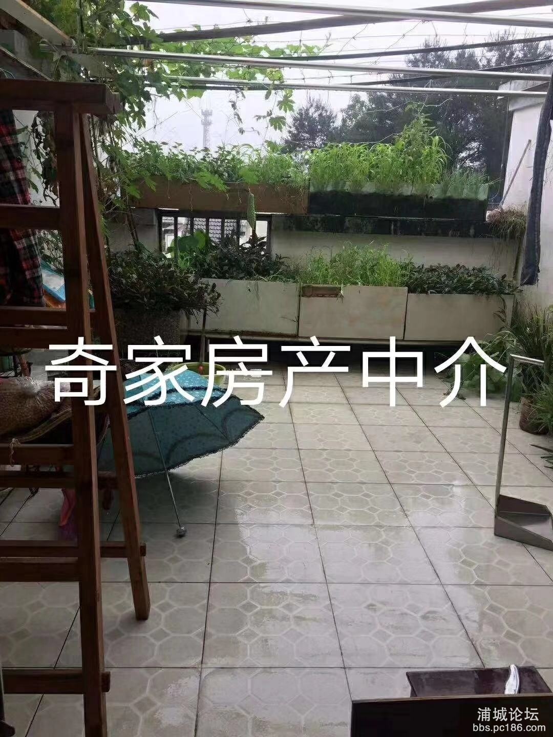 微信图片_202001201307317.jpg