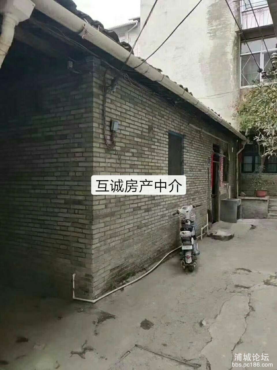 20200314_216773_1584158894375.jpg