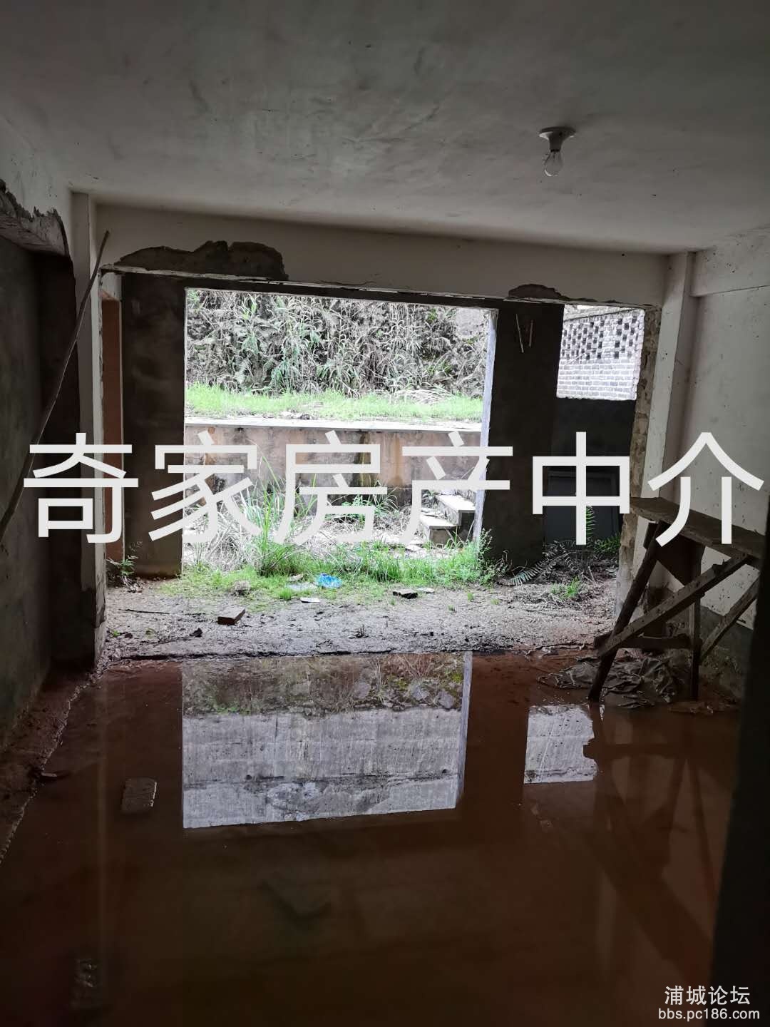 微信图片_20200328202140.jpg