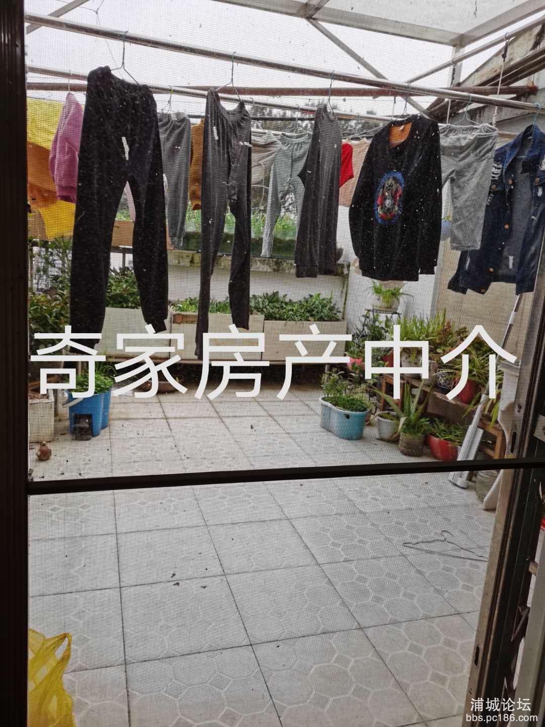微信图片_202004031734527.jpg