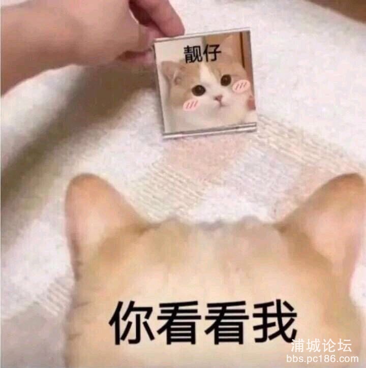 FoFHZSQKArkJdOcQIaUQO52LWd2U.jpg