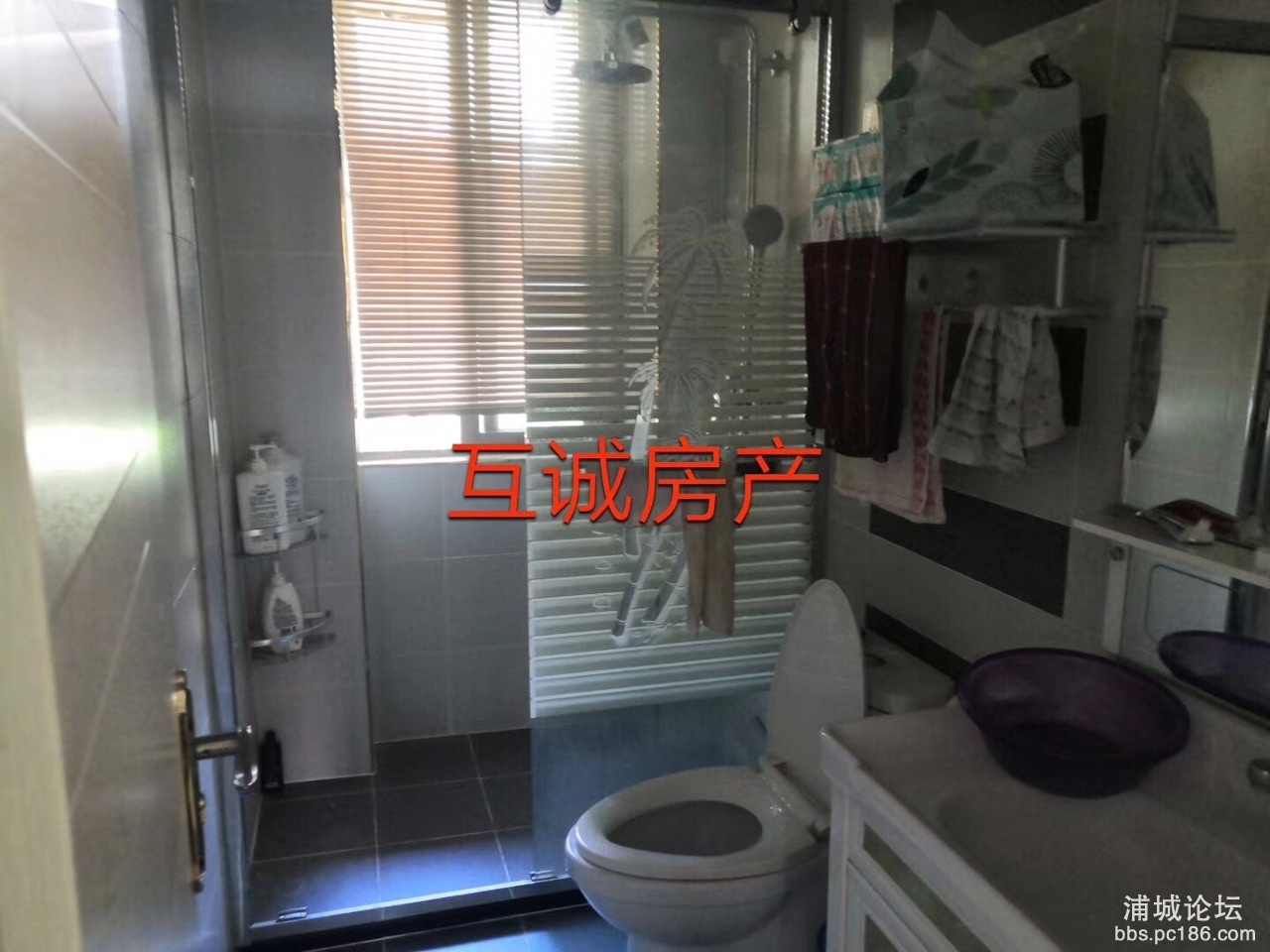 front1_0_Fgo4ZO4dpMY2H7HGarIi9_PoGwo8.jpg