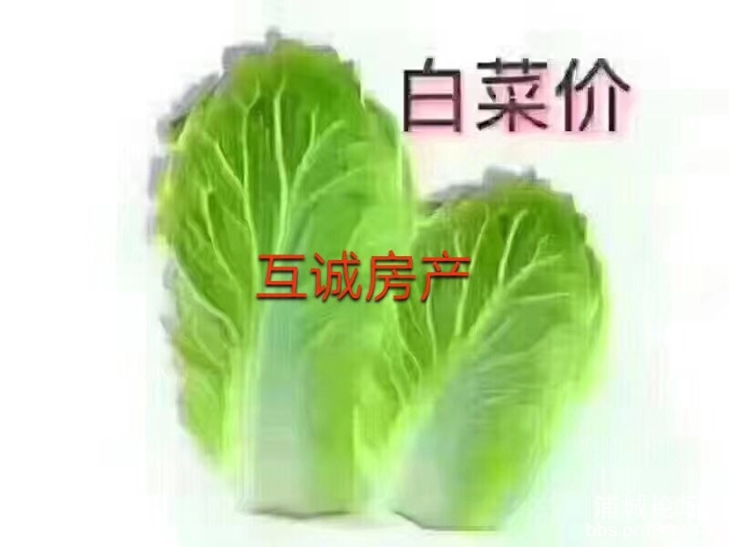 front1_0_FkOPsOVDJ8YyqiCknPfwIf-vQ1dD.jpg