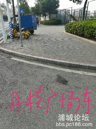 IMG_20201103_100313.jpg