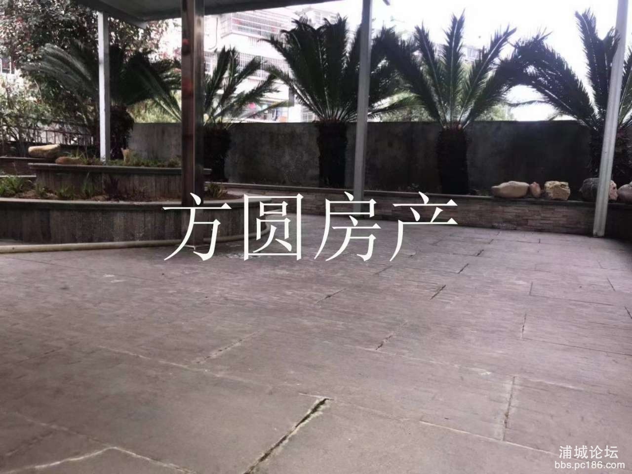 front2_0_FgnkqltGX5uD8MGJU3CwBBV9VTXX.1614568664.jpg