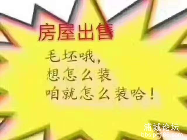 front2_0_FoYx6PjBOHE1_oPFOrDrsAuvybrg.1614569130.jpg