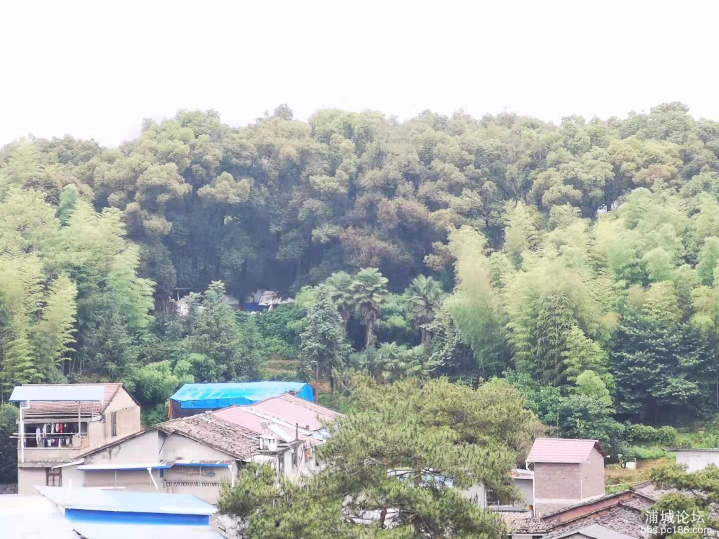 微信图片_20210603075107.jpg