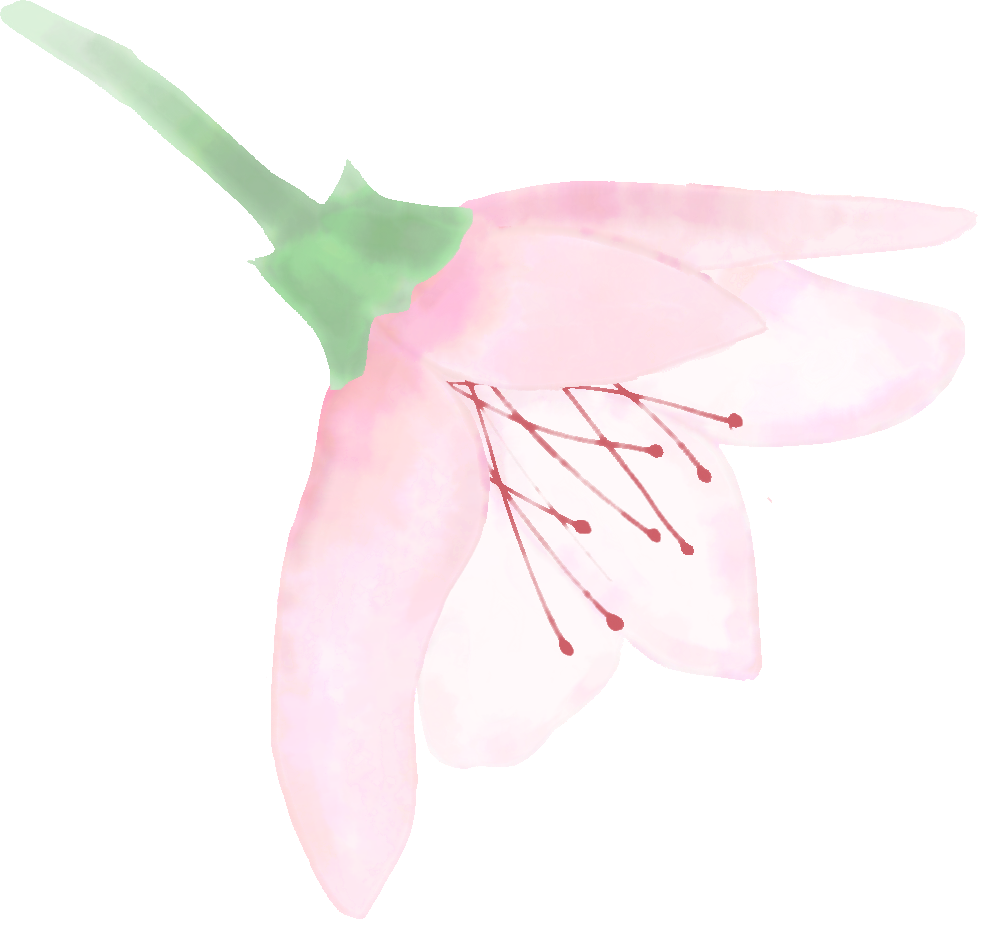 0020fb8f3ee78f5eca0ea5bdffc95846.png