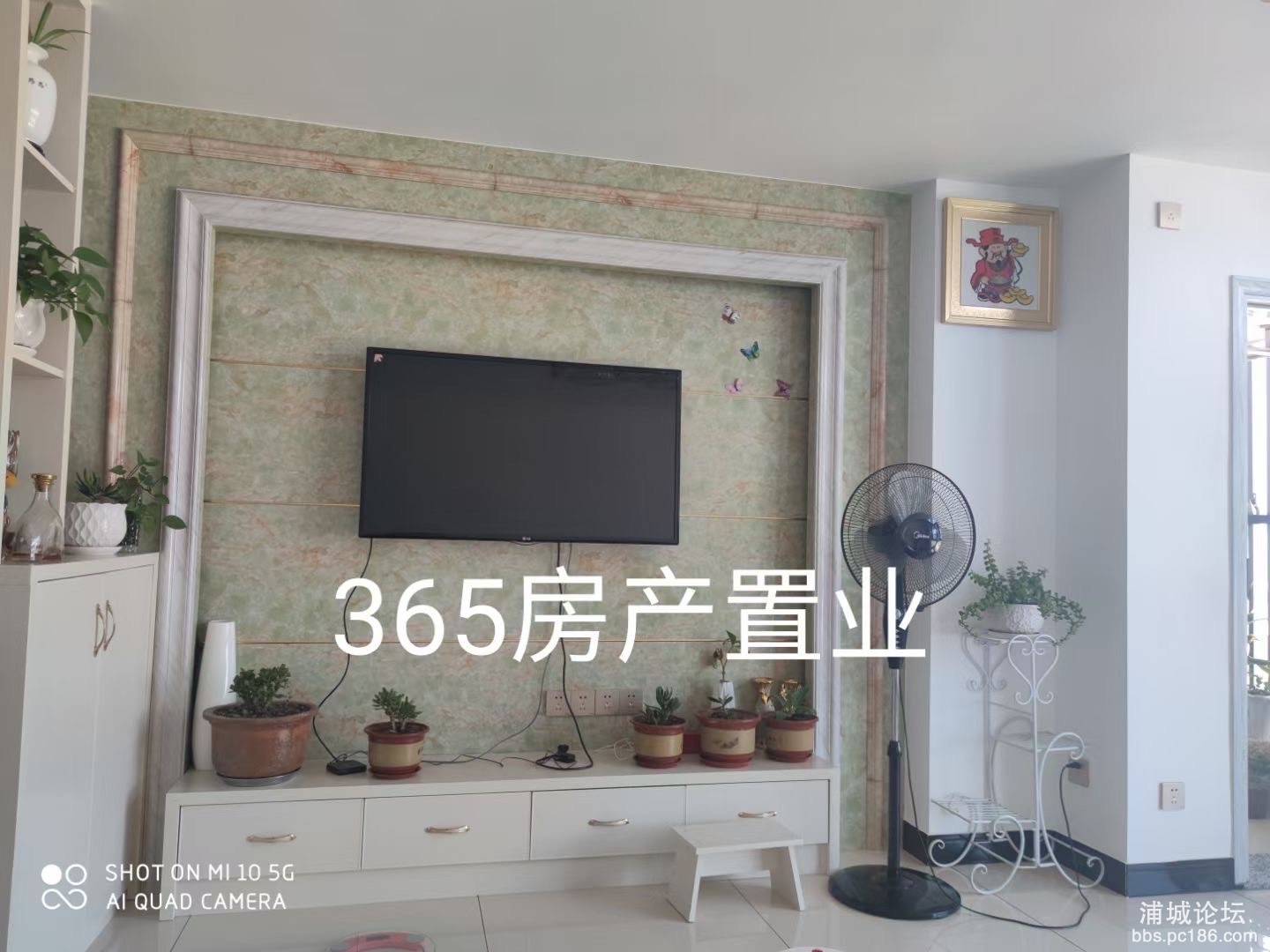 36ef2172c6e06b1a8810c68a3c27c02.jpg