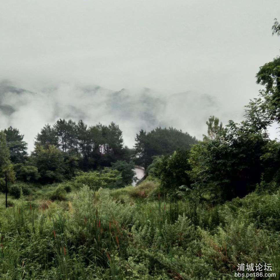 20220116161601front2_0_240886_FtGu1f9S8pwdfUfjJ3AM52Z2-ysF.jpg