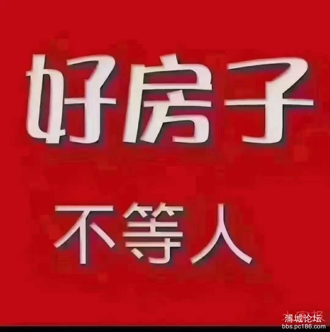 20230216095911front2_0_243053_FmIuzi94eo_-dZ9Wlv15Xt3UBlKT.jpg