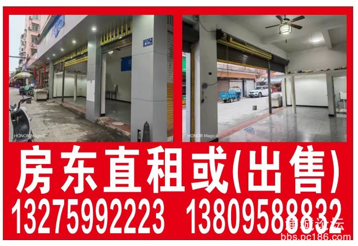 外貌
