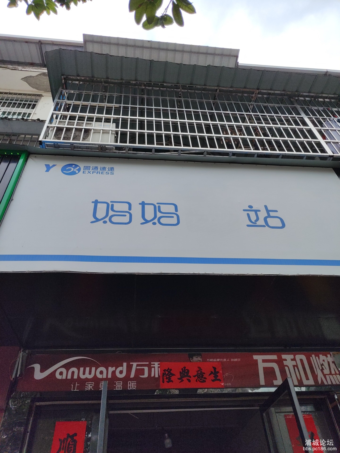 1748493999122.jpg