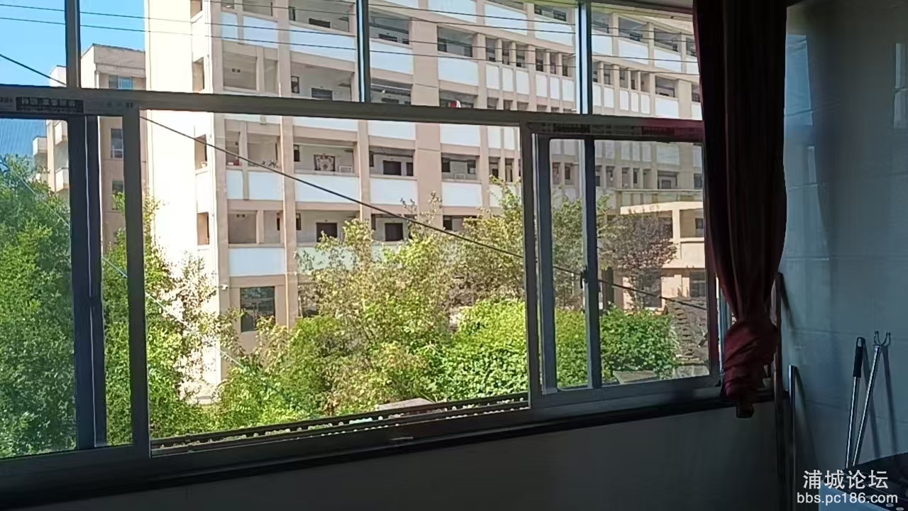 窗外  梦笔学校教学楼