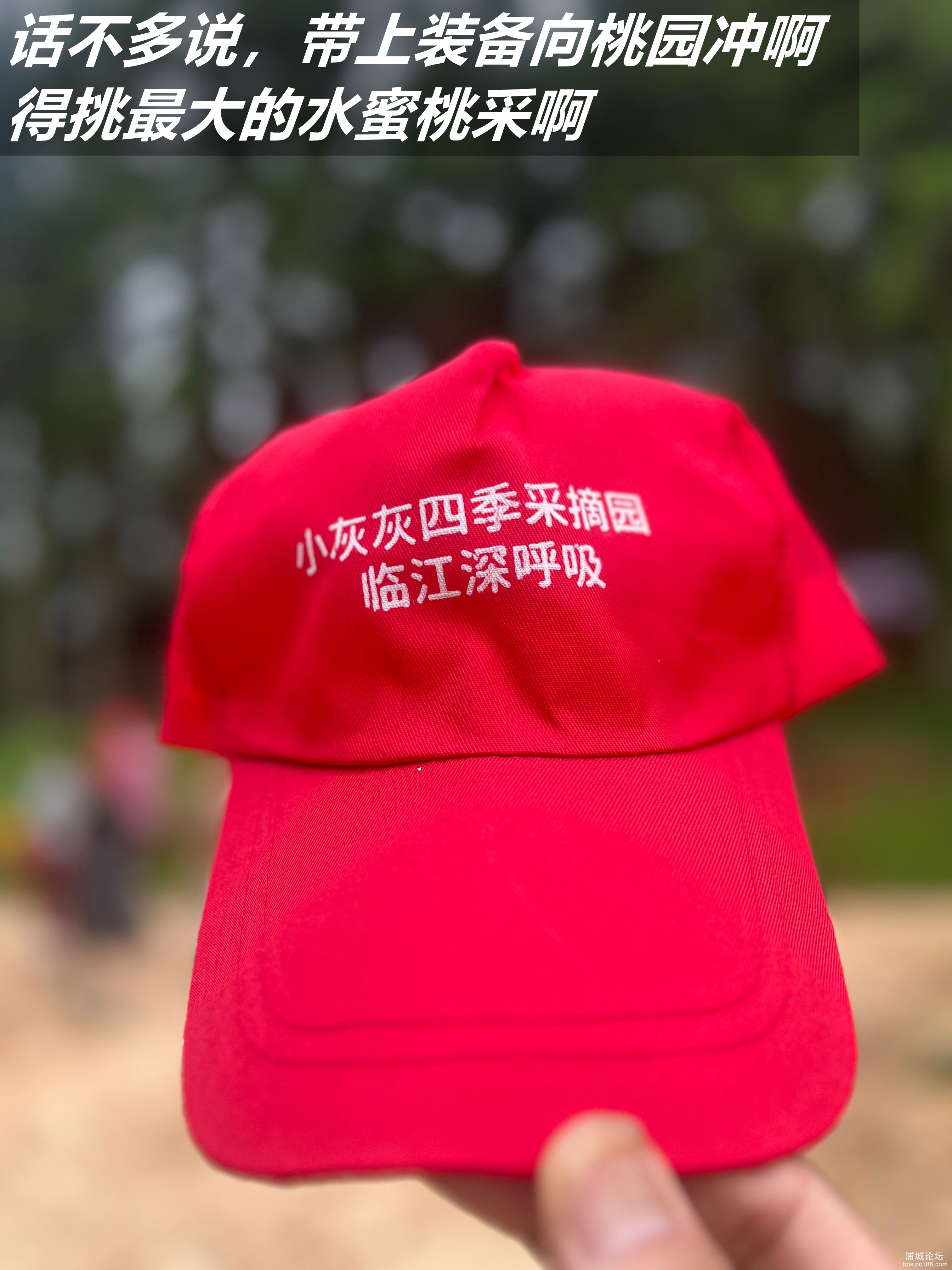 微信图片_2025-06-23_215715_690_副本.jpg