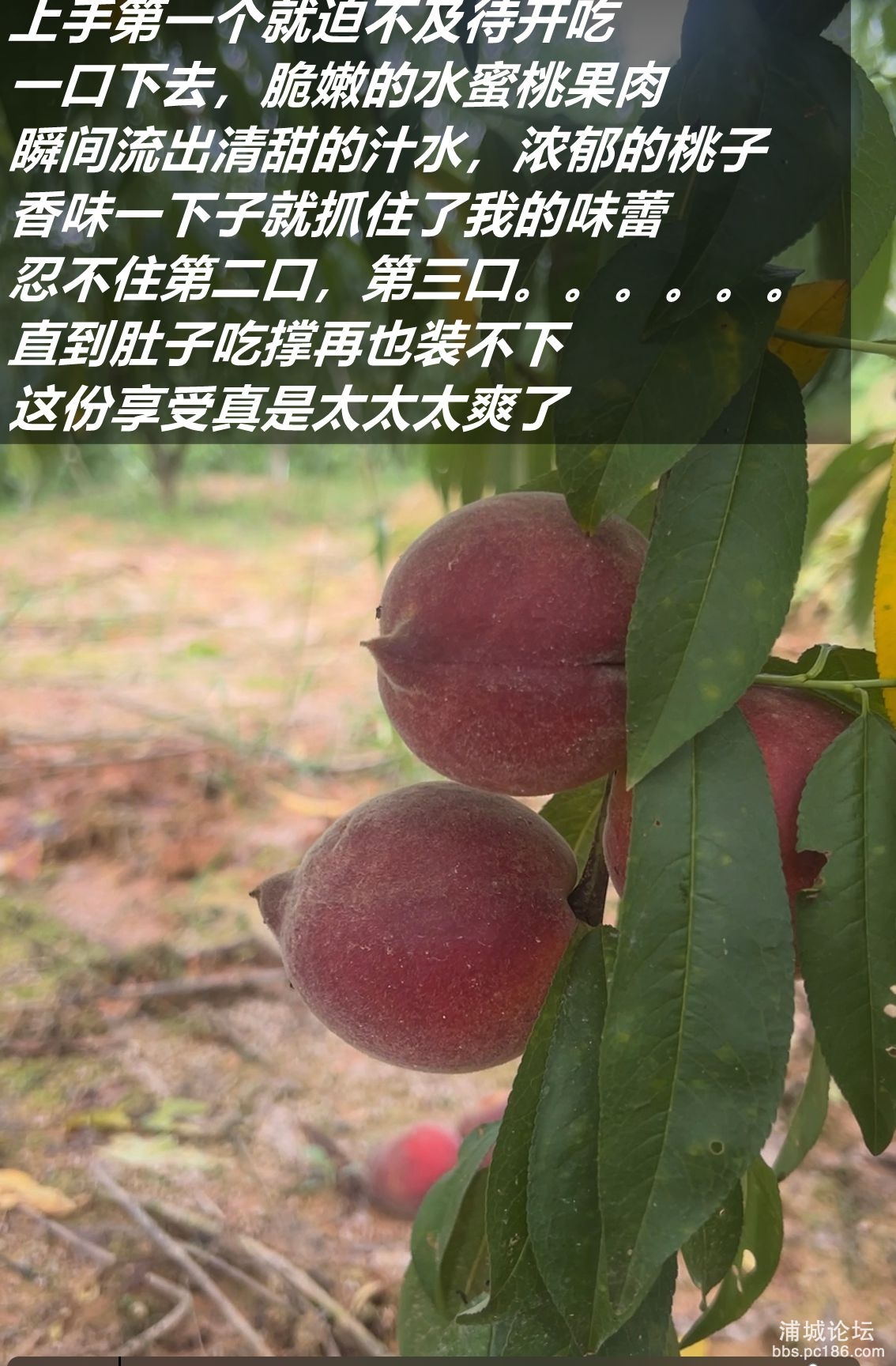 微信图片_2025-06-23_215901_231_副本.jpg