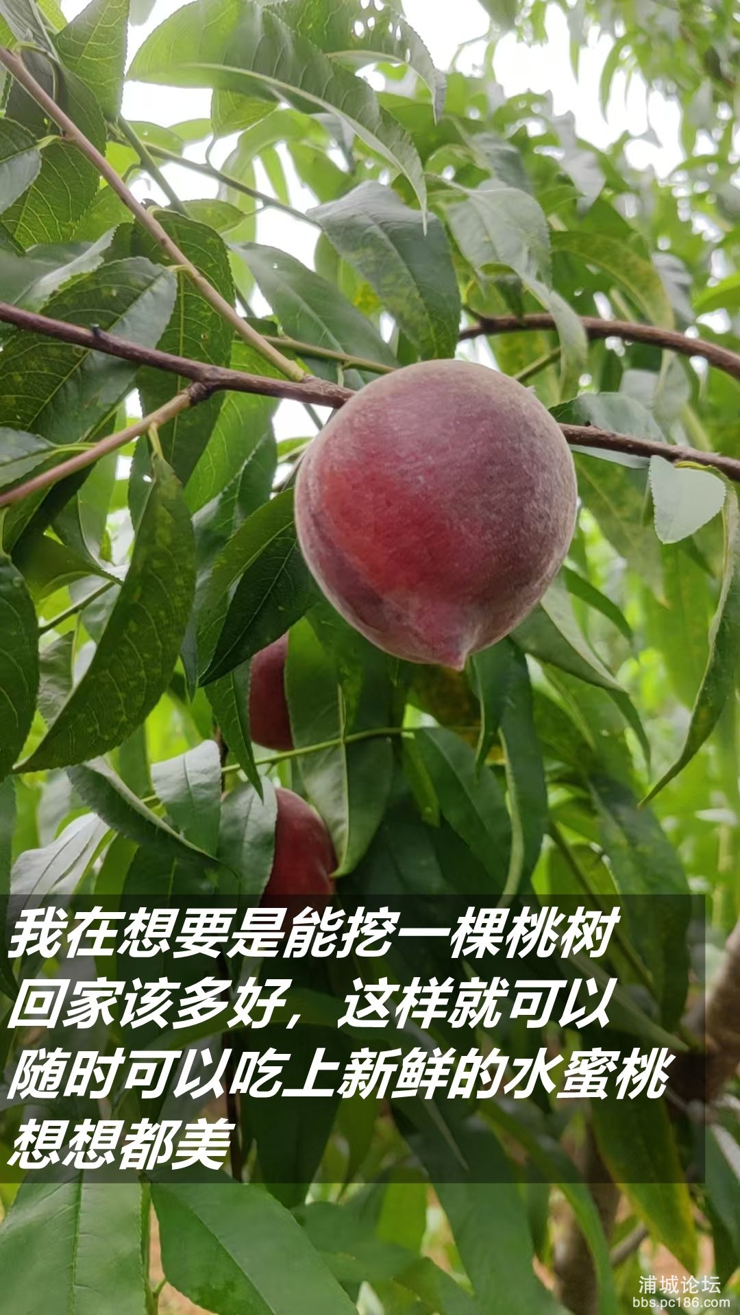 微信图片_2025-06-23_220357_587_副本.jpg