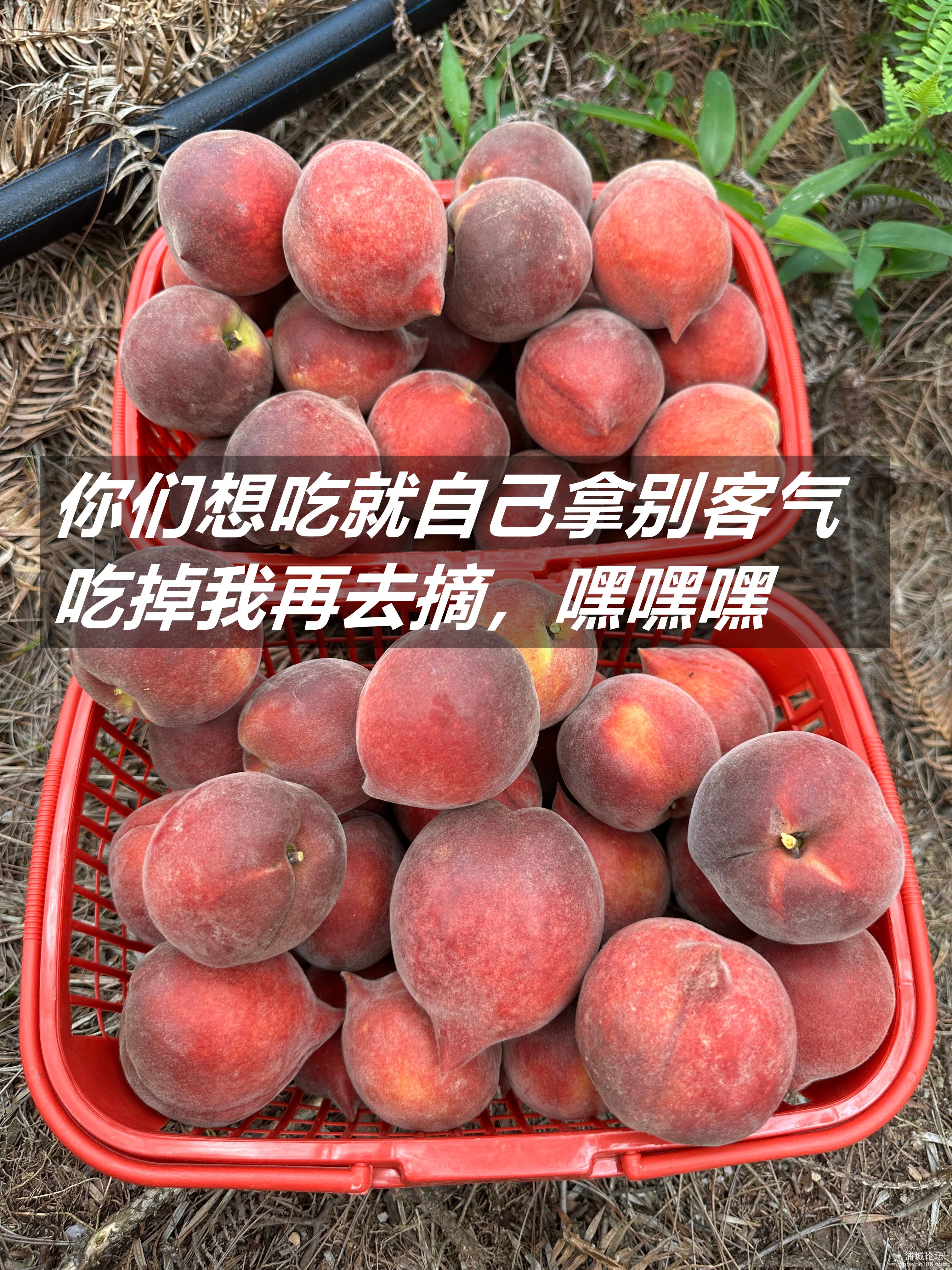 微信图片_2025-06-23_220633_712_副本.jpg