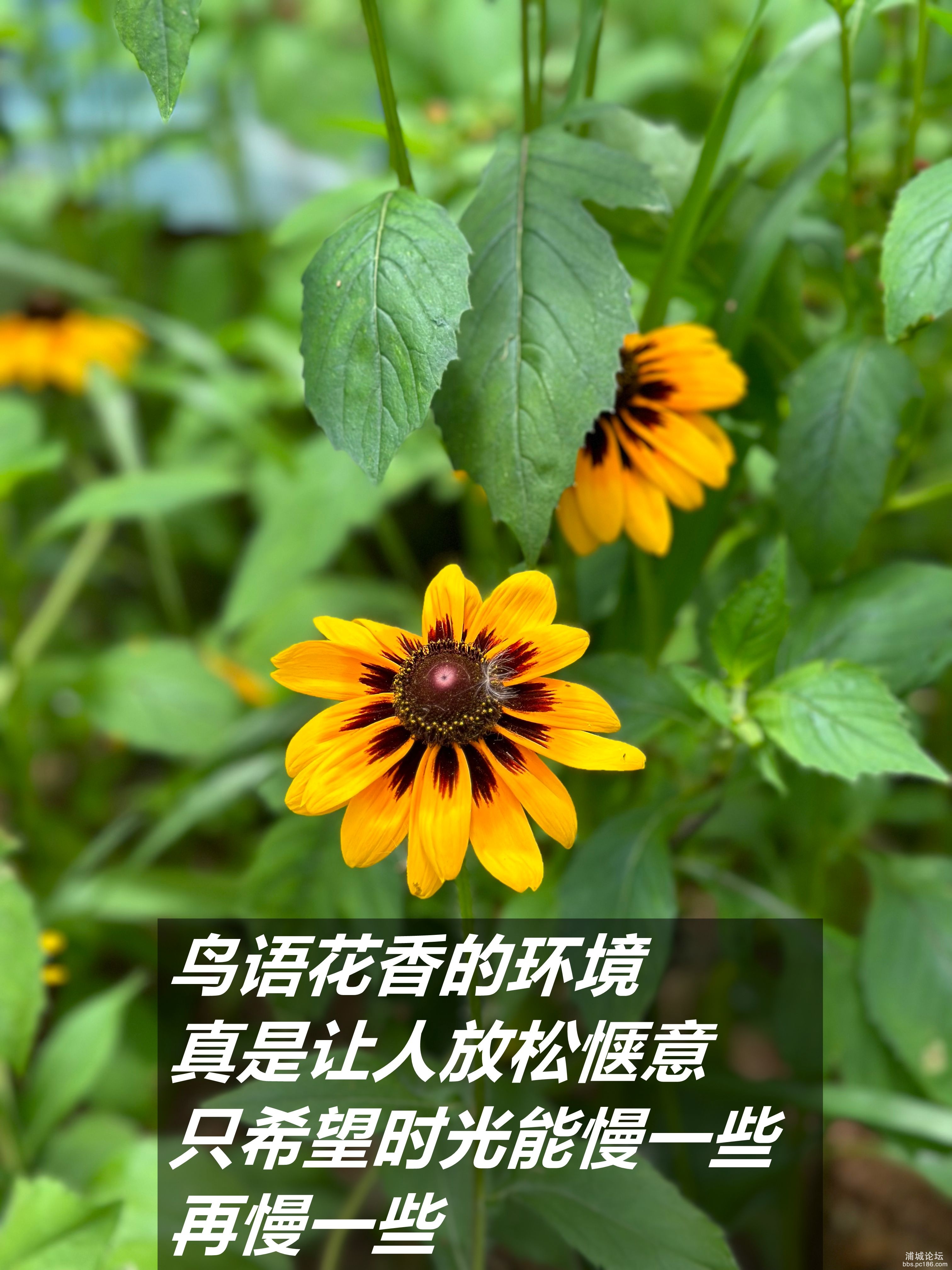 微信图片_2025-06-23_220625_883_副本.jpg