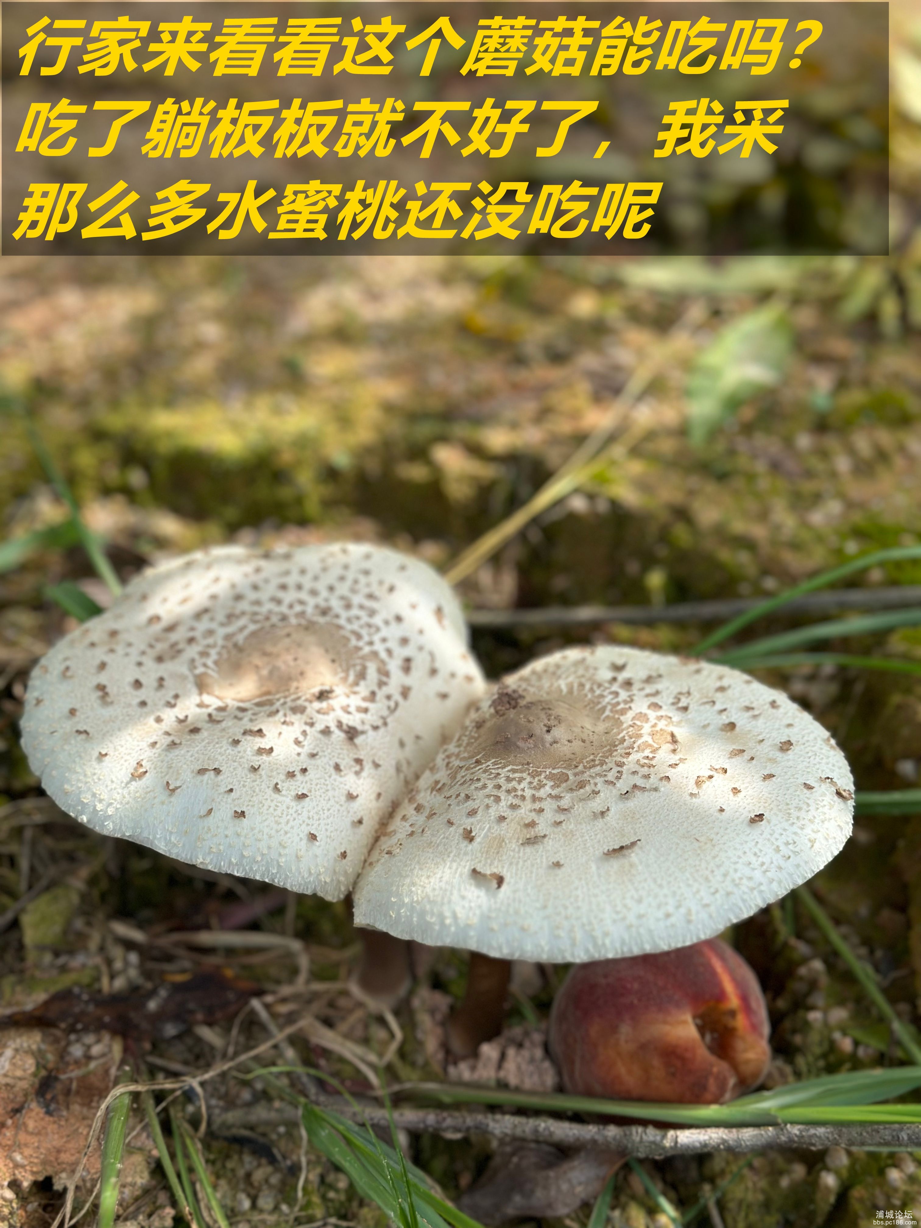 微信图片_2025-06-23_220414_887_副本.jpg