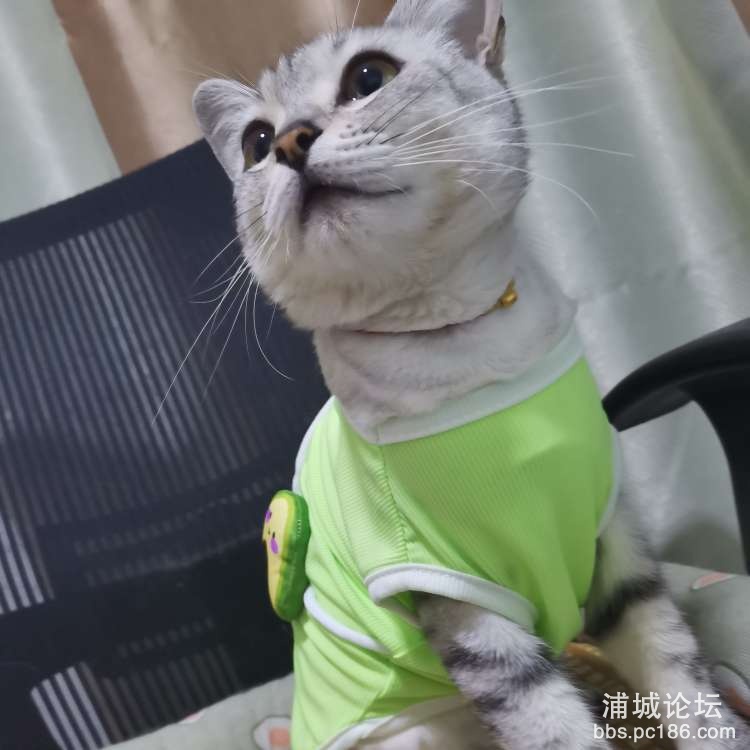 20251009232244front2_0_253031_FlEY1gYKu0TEcg7vBYpjWP0ieAgy.jpg